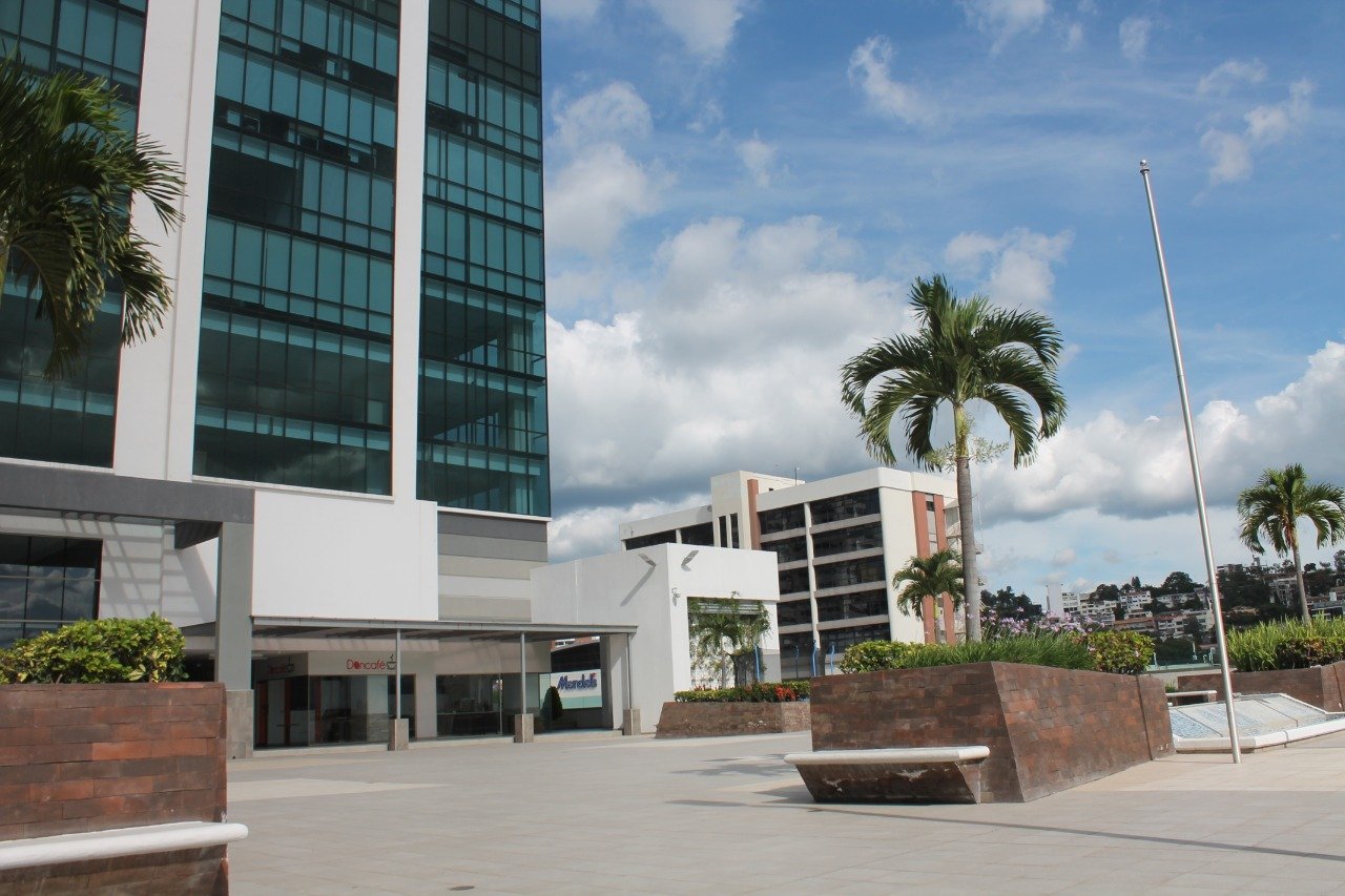 Plaza comercial plameras y edifico con fachada blanca con vidrio azul