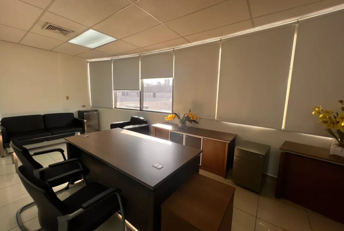 Área de la oficina en Metrópolis, con paredes blancas, piso de porcelanato y techo de tabla yeso con dos paneles led que iluminan la oficina.