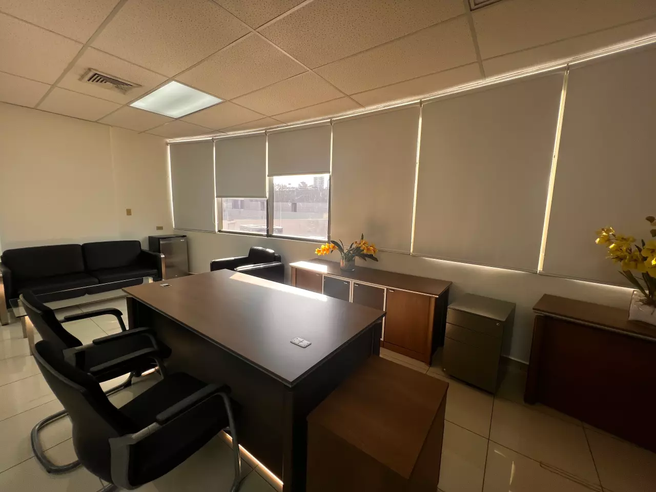 Área de la oficina en Metrópolis, con paredes blancas, piso de porcelanato y techo de tabla yeso con dos paneles led que iluminan la oficina.
