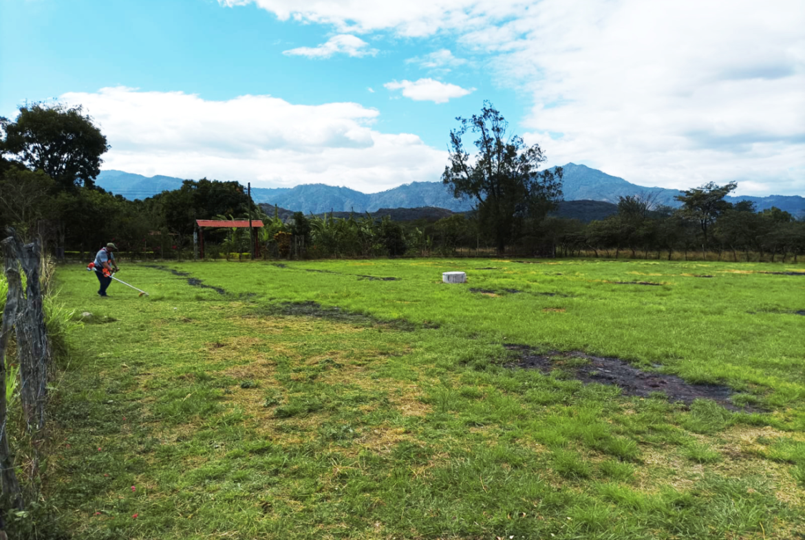 Terreno amplio con grama verde, árboles al fondo y casa alrededor en la ciudad del Zamorano.