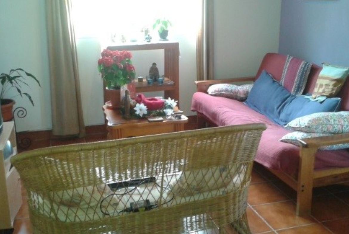 Sala de estar con paredes color azul claro, 2 sofás una mesita de madera color cafe y una ventana con vista al patio.