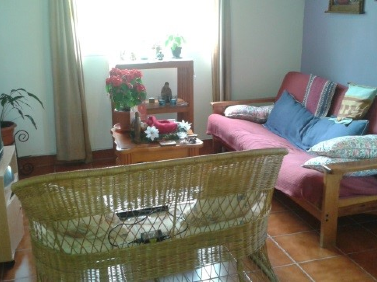 Sala de estar con paredes color azul claro, 2 sofás una mesita de madera color cafe y una ventana con vista al patio.