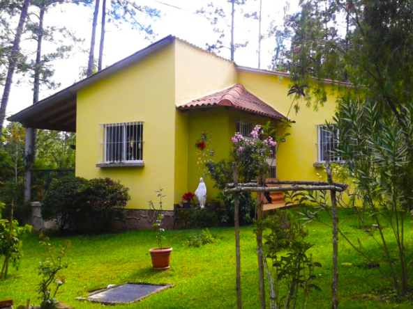 Casa de color amarillo de un nivel con amplio jardin de cesped de dia con arboles al rededor