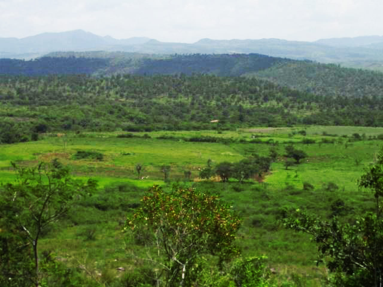 Terreno amplio en municipio de Amarateca, Francisco Morazán
