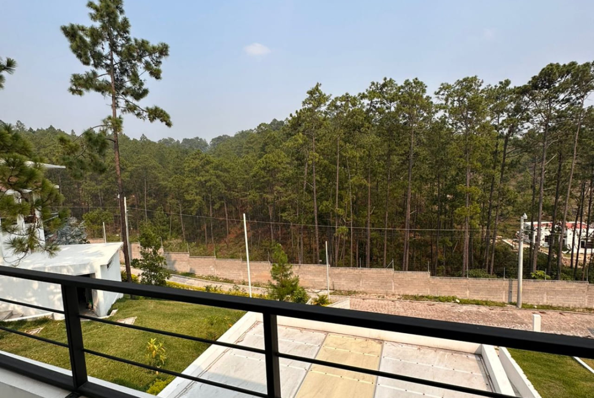 Fotografía donde se puede apreciar la vista desde el balcón, que da hacia el exterior de la propiedad y cuenta con un bello paisaje de una arboleda de pinos.