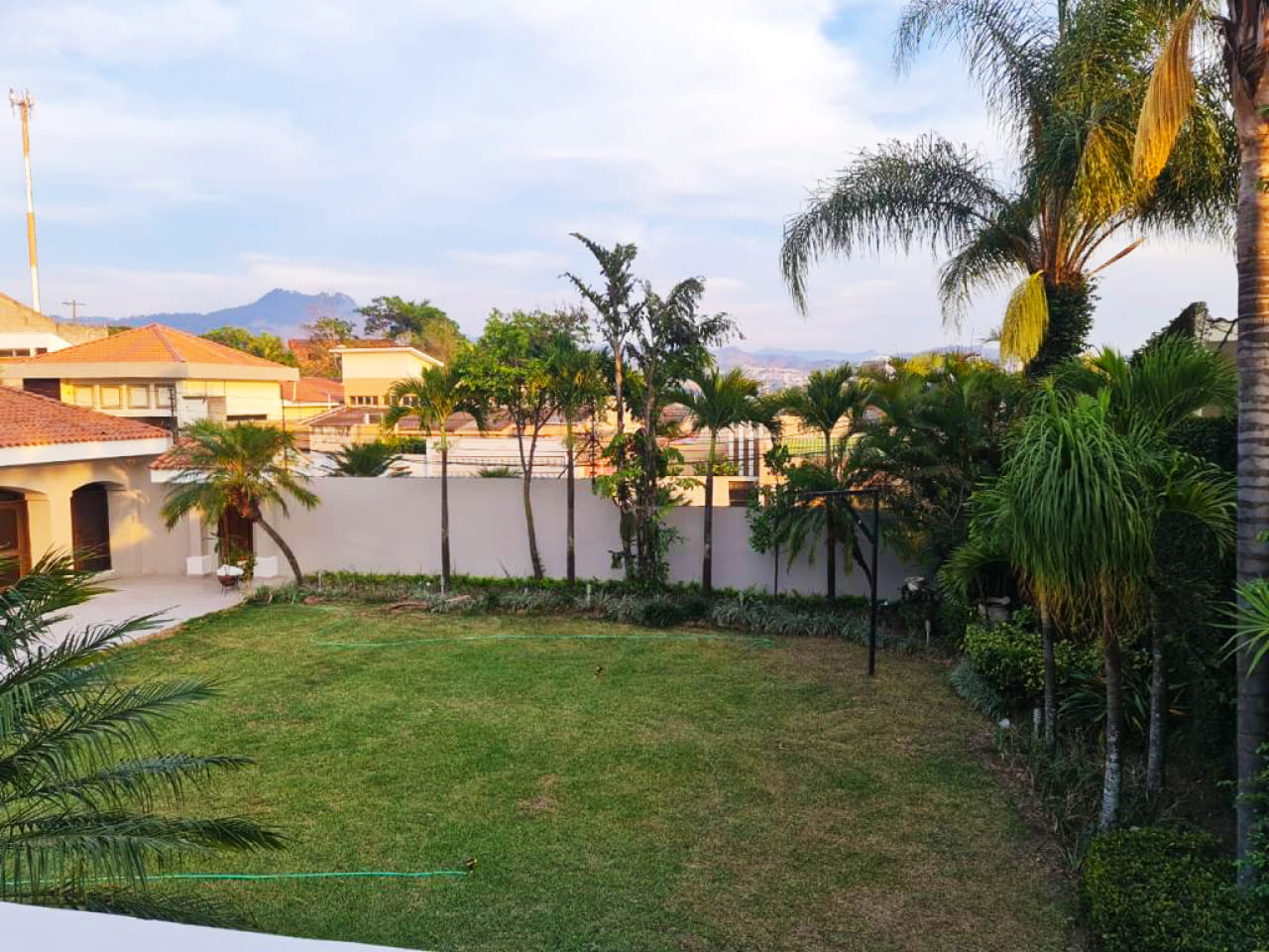 Amplio jardín con grama verde, arboles de palmera, frente a la casa en renta con cielo azul.