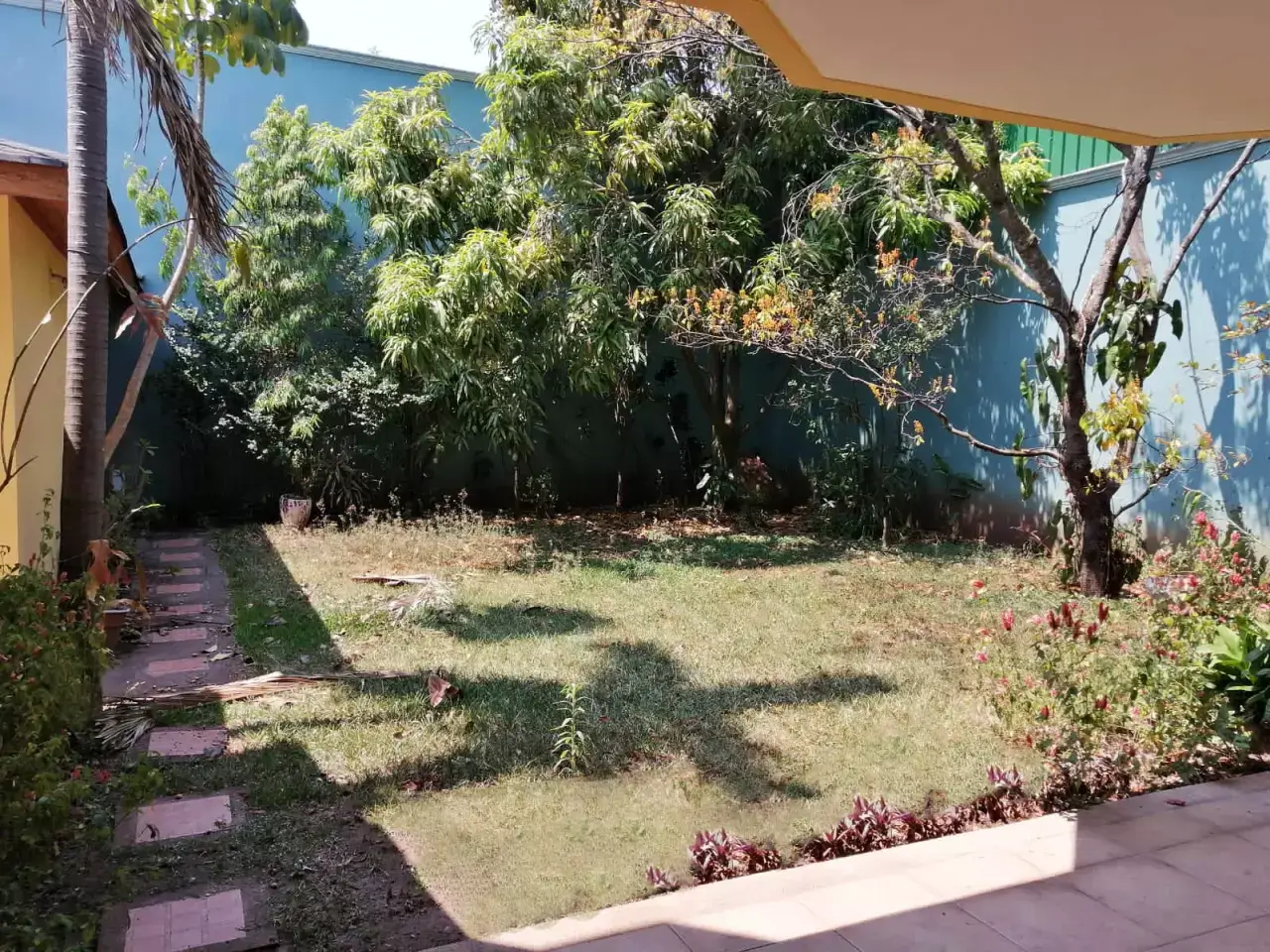 Patio amplio con huellas de jardin y arboles medianos con paredes color azul en tegucigalpa
